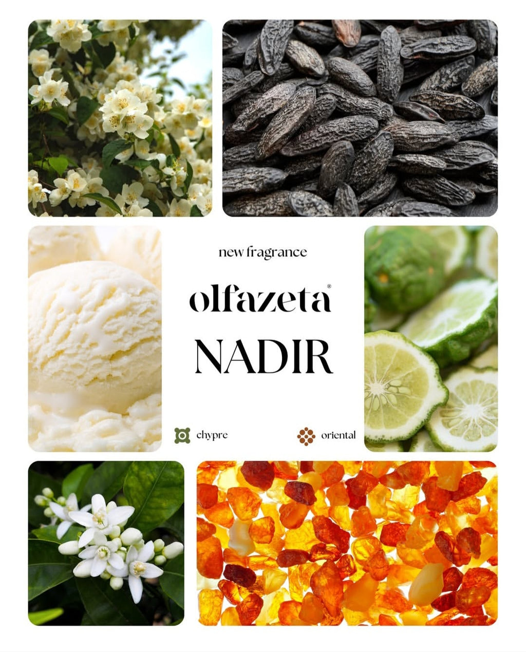 Nadir-luxury perfume for him with 30%essence 50ml